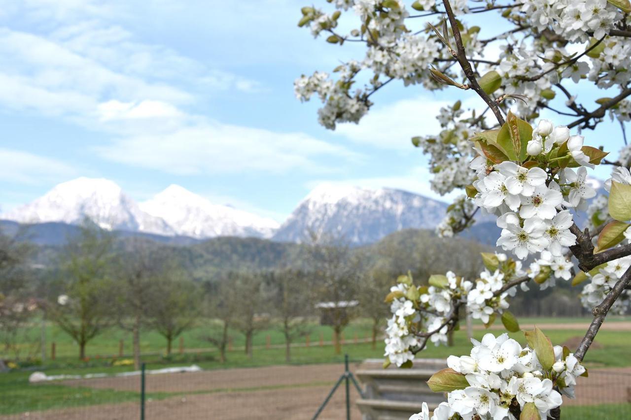 Lesnavesna Designer Apartment With A Garden Visoko  Buitenkant foto